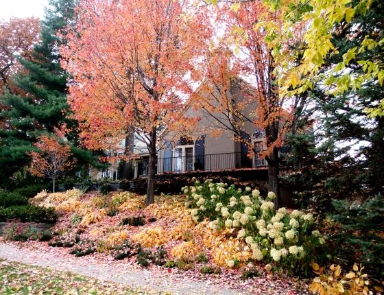 双子城的房子在秋天拍摄